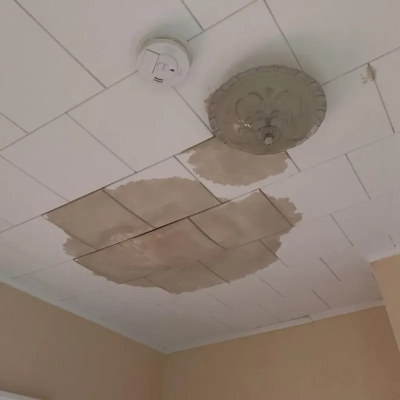 Ceiling Water Damage Repair in Bedford County, VA