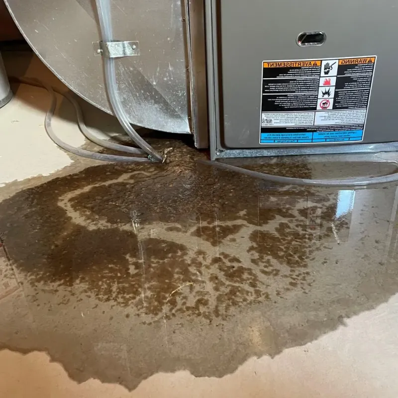 Pipe Burst and Leak Restoration in Bedford County, VA