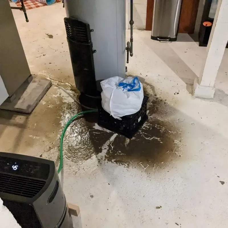 Sewage Backup Cleanup Service in Bedford County, VA